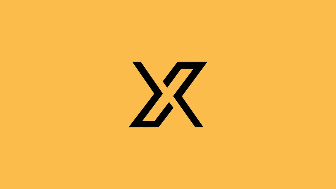X调查