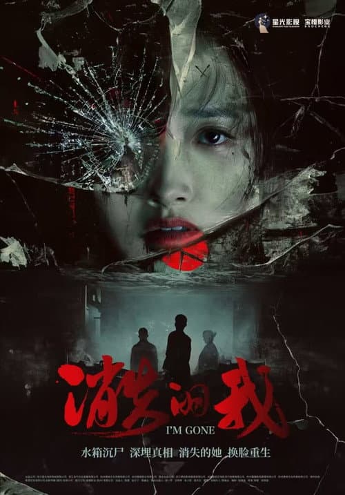 消失的我